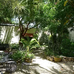 Decu Downtown 3*, Mérida México
